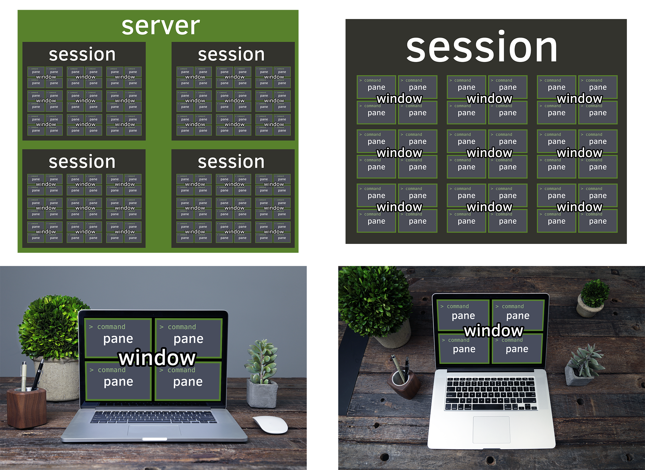../_images/server-with-laptop.png